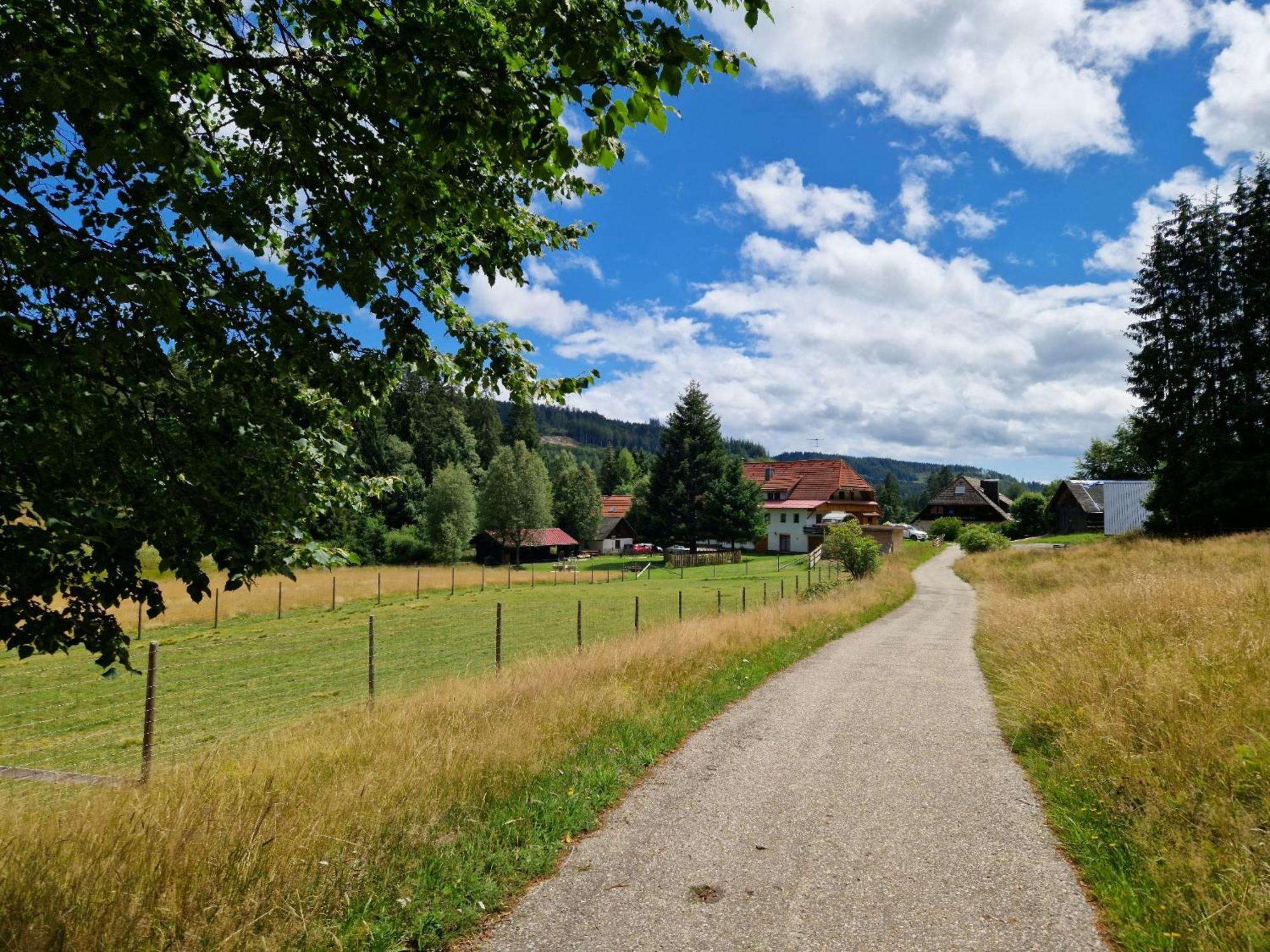 Altes Zollhuesli Villa Schluchsee Exterior foto