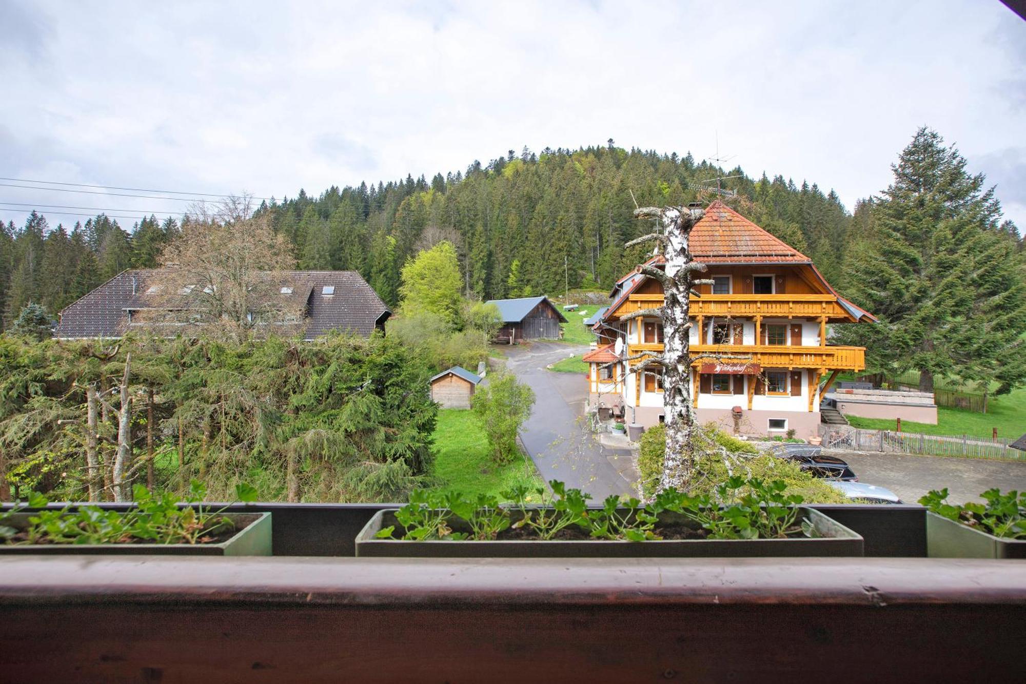 Altes Zollhuesli Villa Schluchsee Exterior foto